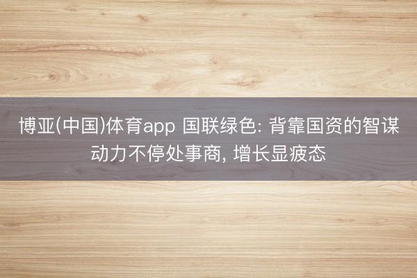 博亚(中国)体育app 国联绿色: 背靠国资的智谋动力不停处事商， 增长显疲态