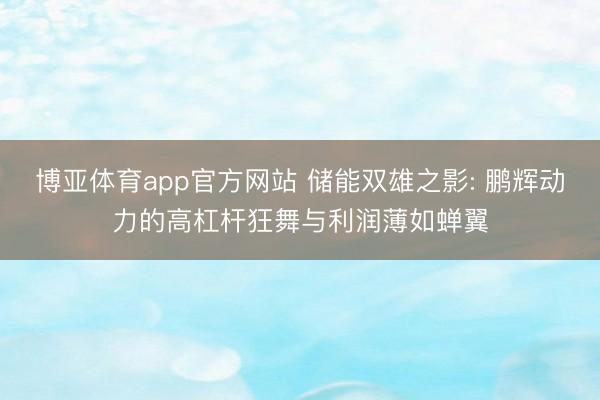 博亚体育app官方网站 储能双雄之影: 鹏辉动力的高杠杆狂舞与利润薄如蝉翼