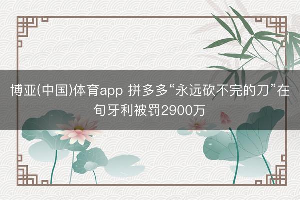 博亚(中国)体育app 拼多多“永远砍不完的刀”在旬牙利被罚2900万