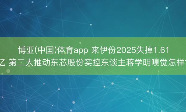 博亚(中国)体育app 来伊份2025失掉1.61亿 第二大推动东芯股份实控东谈主蒋学明嗅觉怎样?