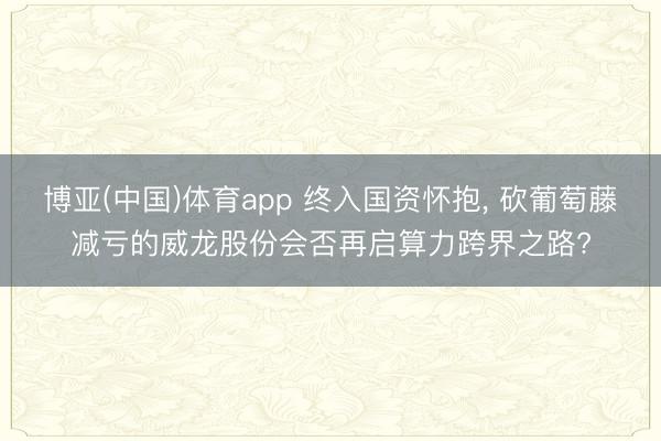 博亚(中国)体育app 终入国资怀抱， 砍葡萄藤减亏的威龙股份会否再启算力跨界之路?