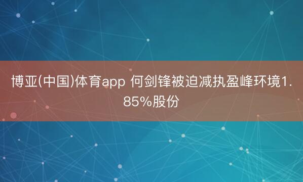 博亚(中国)体育app 何剑锋被迫减执盈峰环境1.85%股份