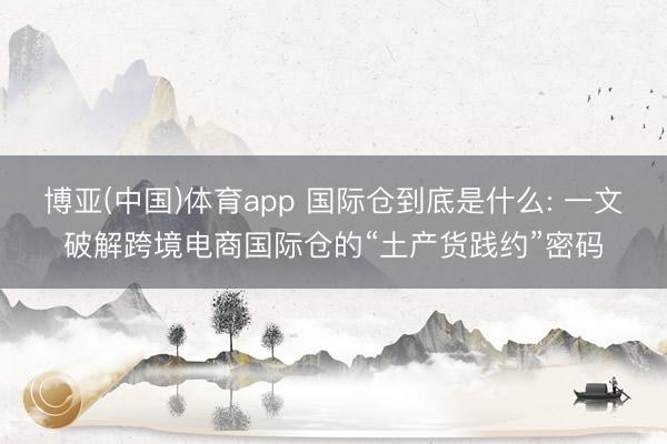 博亚(中国)体育app 国际仓到底是什么: 一文破解跨境电商国际仓的“土产货践约”密码