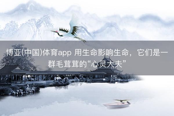博亚(中国)体育app 用生命影响生命，它们是一群毛茸茸的“心灵大夫”
