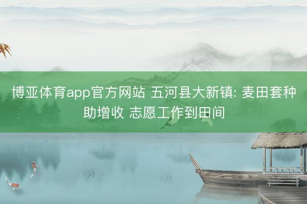 博亚体育app官方网站 五河县大新镇: 麦田套种助增收 志愿工作到田间