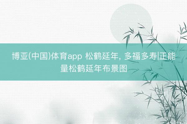 博亚(中国)体育app 松鹤延年，<a href=