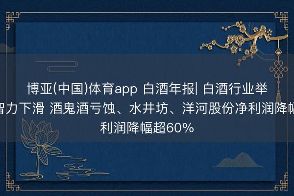 博亚(中国)体育app 白酒年报| 白酒行业举座盈利智力下滑 酒鬼酒亏蚀、水井坊、洋河股份净利润降幅超60%