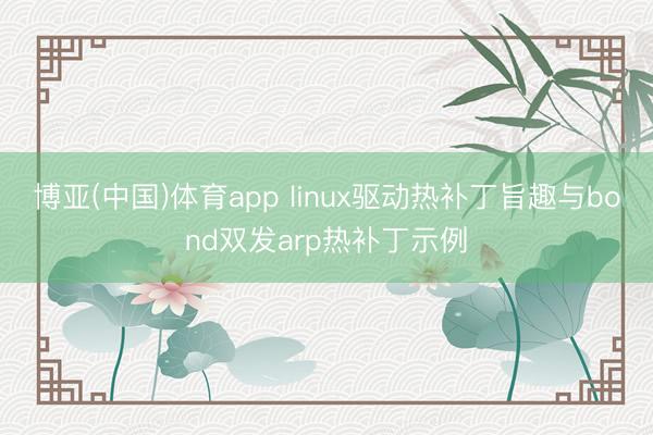 博亚(中国)体育app linux驱动热补丁旨趣与bond双发arp热补丁示例