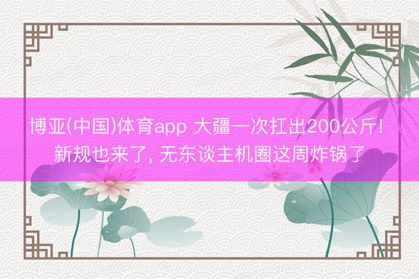 博亚(中国)体育app 大疆一次扛出200公斤! 新规也来了， 无东谈主机圈这周炸锅了