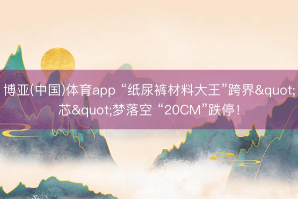 博亚(中国)体育app “纸尿裤材料大王”跨界"芯"梦落空 “20CM”跌停！