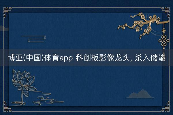 博亚(中国)体育app 科创板影像龙头, 杀入储能