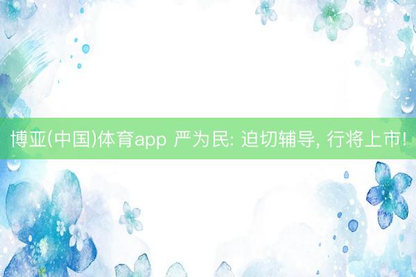 博亚(中国)体育app 严为民: 迫切辅导， 行将上市!