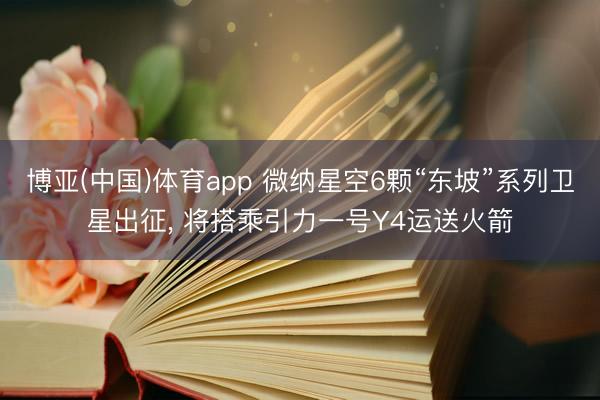 博亚(中国)体育app 微纳星空6颗“东坡”系列卫星出征， 将搭乘引力一号Y4运送火箭