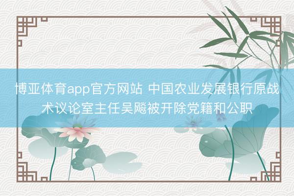 博亚体育app官方网站 中国农业发展银行原战术议论室主任吴飚被开除党籍和公职