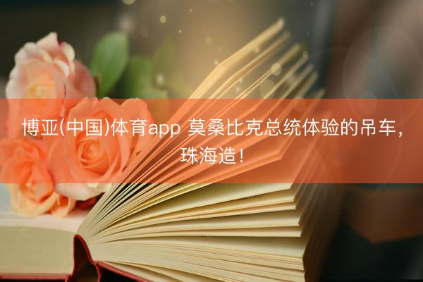 博亚(中国)体育app 莫桑比克总统体验的吊车,珠海造!