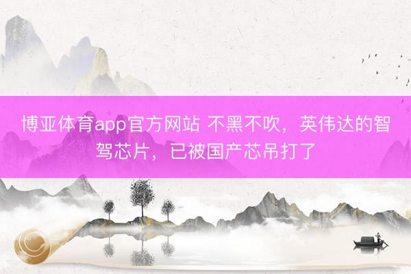 博亚体育app官方网站 不黑不吹，英伟达的智驾芯片，已被国产芯吊打了